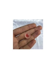 Canlı Kırmızı Renkli Merkezli Buzlu Şeffaf Yuvarlak Plastik