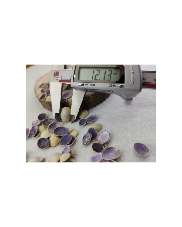 Simli Pul Gold Altın Sarısı 4x19mm