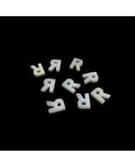 Doğal sedef taş Kolye Küpe Ucu - R HARF