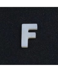 Doğal sedef taş Kolye Küpe Ucu - E HARF