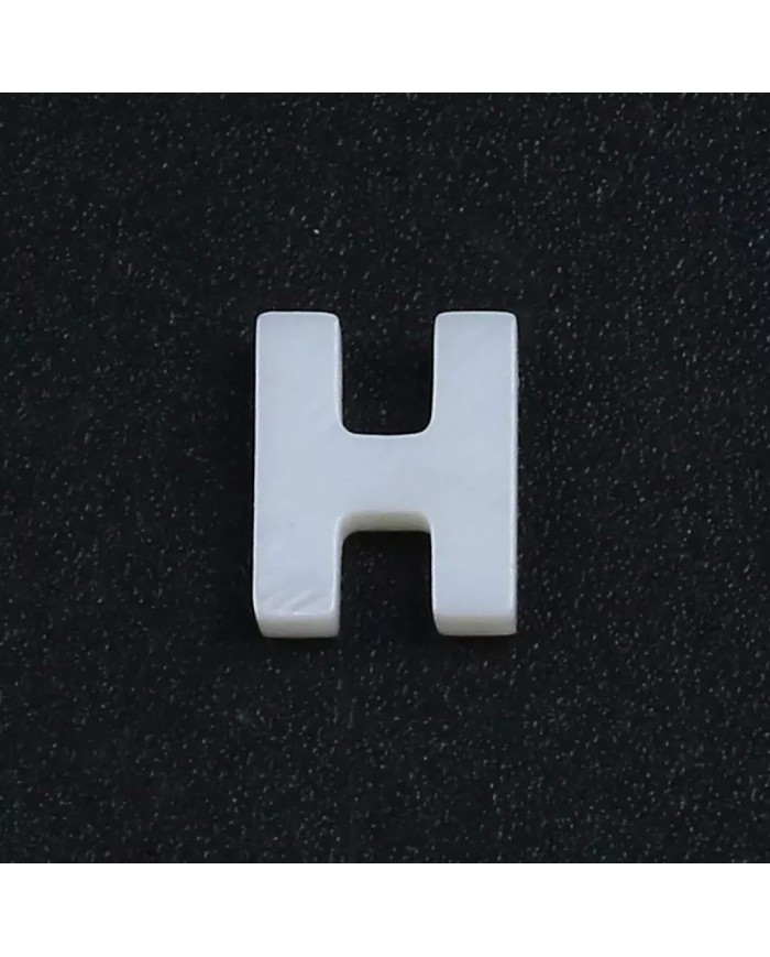 Doğal sedef taş Kolye Küpe Ucu - H HARF