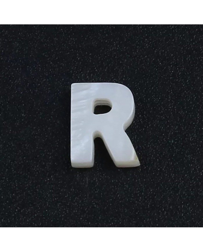 Doğal sedef taş Kolye Küpe Ucu - R HARF