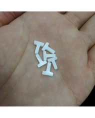 Sedef doğal taş Harf Kolye Küpe Ucu - T HARF