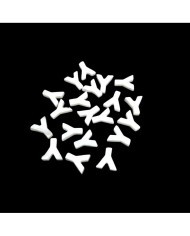 Doğal sedef taş Kolye Küpe Ucu - Y HARF