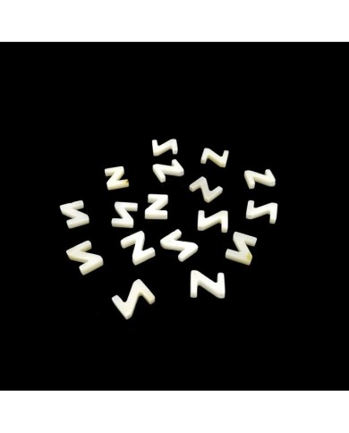 Doğal sedef taş Kolye Küpe Ucu - Z HARF