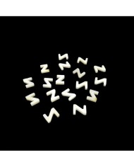 Doğal sedef taş Kolye Küpe Ucu - Z HARF