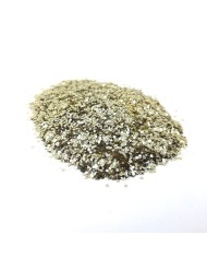 Pul Ortası 100 gr- Parlak Gold