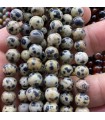 8 mm Doğal Taş Dalmaçyalı Jasper