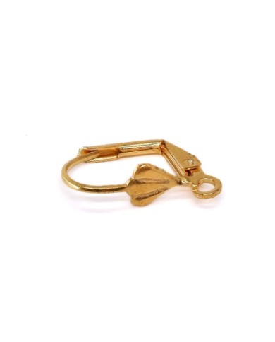 Küpe Aparatı (D) Model Gold 10 Çift