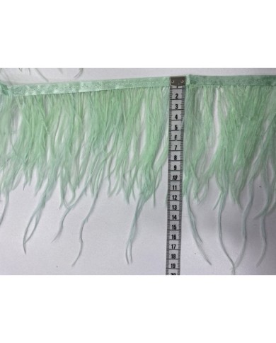Deve Kuşu Tüyü Mint 10 Metre