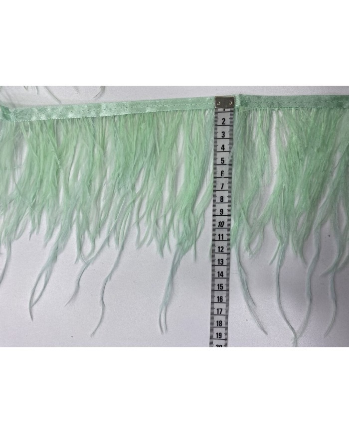 Deve Kuşu Tüyü Mint 10 Metre