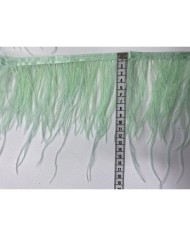 Deve Kuşu Tüyü Mint 10 Metre