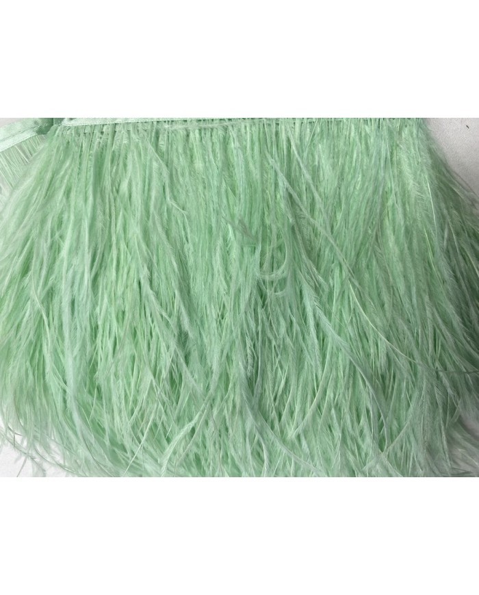 Deve Kuşu Tüyü Mint 10 Metre