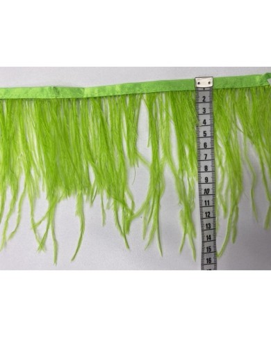 Deve Kuşu Tüyü Fıstık Yeşili 10 Metre