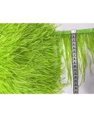 Deve Kuşu Tüyü Fıstık Yeşili 10 Metre