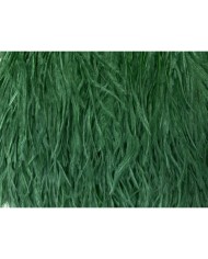 Deve Kuşu Tüyü Zümrüt Yeşili 10 Metre