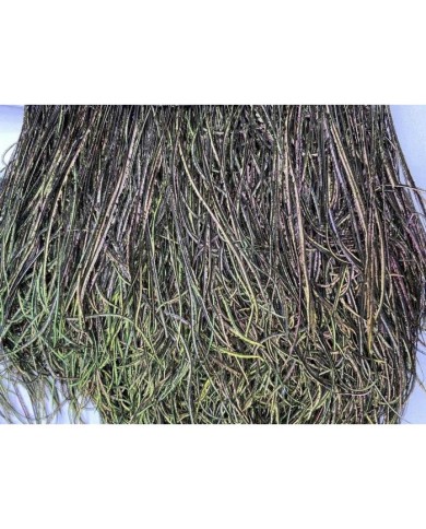 Deve Kuşu Tüyü Tavus Rengi 10 Metre