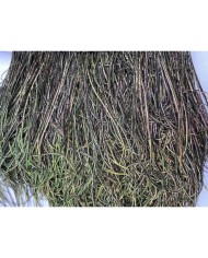 Deve Kuşu Tüyü Tavus Rengi 10 Metre