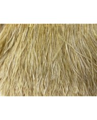 Deve Kuşu Tüyü Açık Hardal 10 Metre