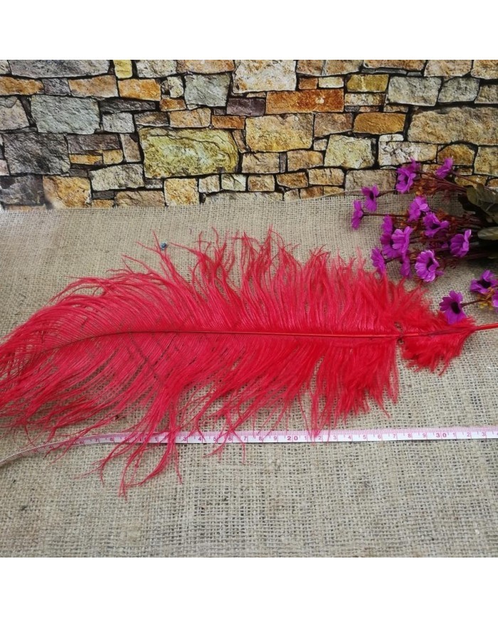 Tekli Kuş Tüyü Uzun - Kırmızı- 35/40 cm