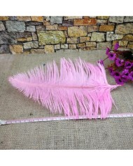 Tekli Kuş Tüyü Kısa - Kırmızı- 25/30 cm