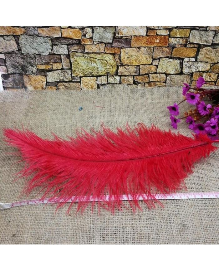 Tekli Kuş Tüyü Kısa - Kırmızı- 25/30 cm