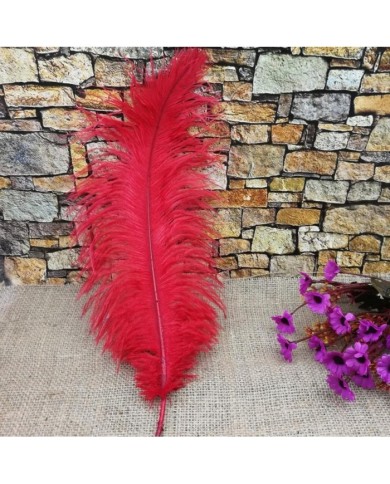 Tekli Kuş Tüyü - Kırmızı- 25/30 cm