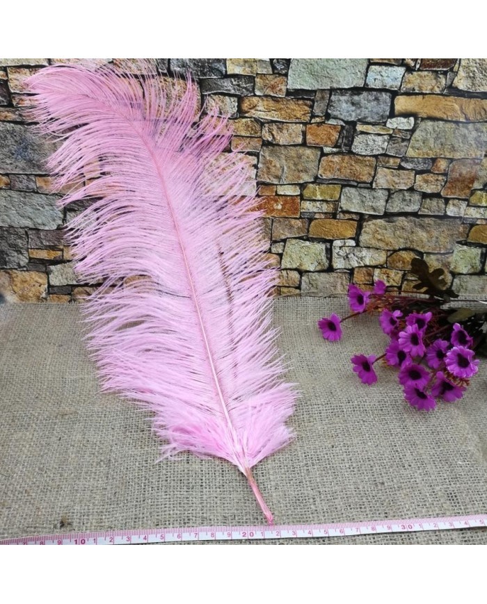 Tekli Kuş Tüyü Uzun - Pembe- 35/40 cm