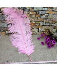 Tekli Kuş Tüyü Uzun - Pembe- 35/40 cm