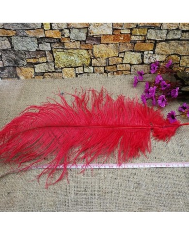 Tekli Kuş Tüyü Uzun - Kırmızı- 35/40 cm