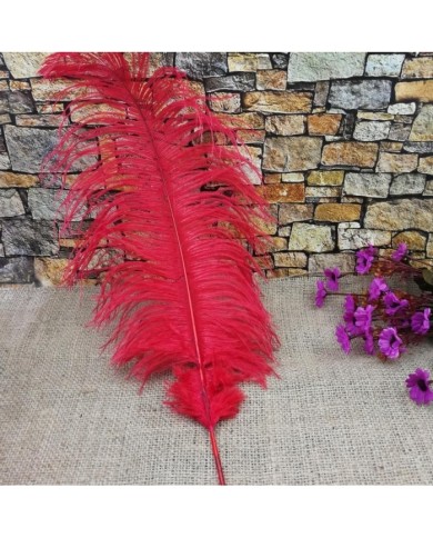 Tekli Kuş Tüyü Uzun - Kırmızı- 35/40 cm