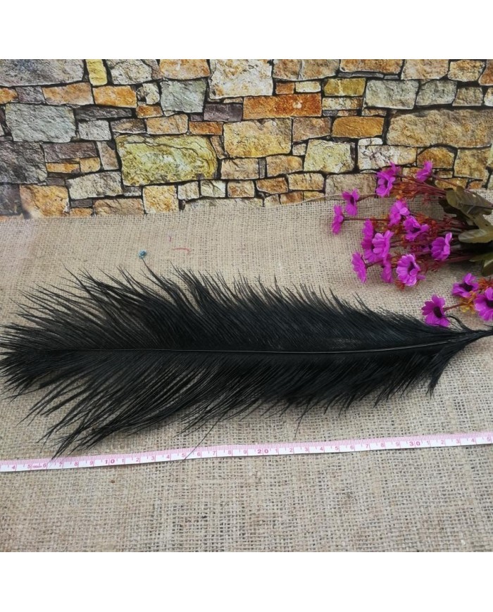 Tekli Kuş Tüyü Uzun - Siyah- 35/40 cm