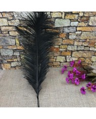 Tekli Kuş Tüyü Uzun - Siyah- 35/40 cm