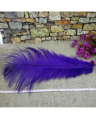 Tekli Kuş Tüyü Uzun - Mavi- 35/40 cm