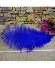 Tekli Kuş Tüyü Uzun - Mavi- 35/40 cm