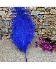 Tekli Kuş Tüyü Uzun - Mavi- 35/40 cm