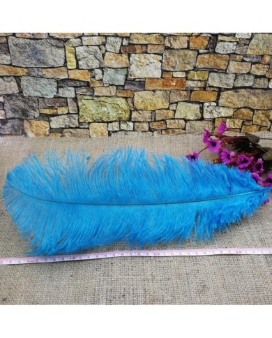 Tekli Kuş Tüyü Uzun - Açık Mavi- 35/40 cm