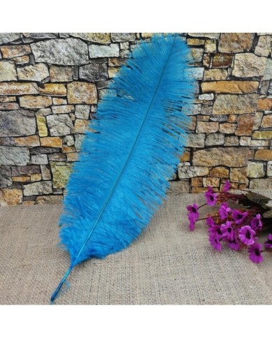 Tekli Kuş Tüyü Uzun - Açık Mavi- 35/40 cm