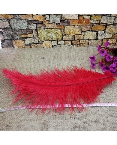 Tekli Kuş Tüyü Kısa - Kırmızı- 25/30 cm