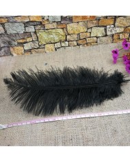 Tekli Kuş Tüyü Kısa - Siyah - 25/30 cm