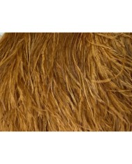 Deve Kuşu Tüyü Taba Rengi 1 Metre