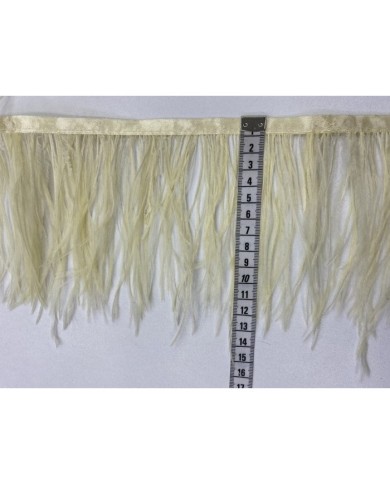 Deve Kuşu Tüyü Krem 1 Metre