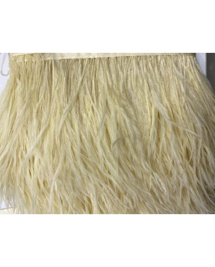 Deve Kuşu Tüyü Krem 1 Metre