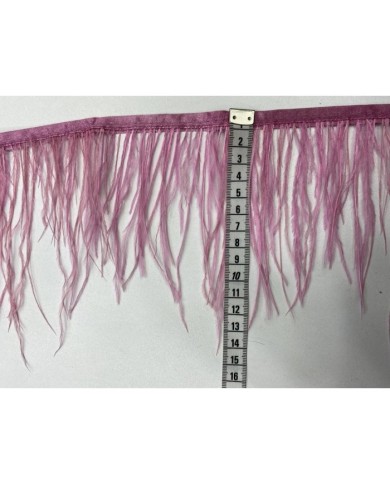 Deve Kuşu Tüyü Gül Kurusu 1 Metre