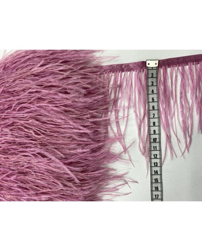 Deve Kuşu Tüyü Gül Kurusu 1 Metre