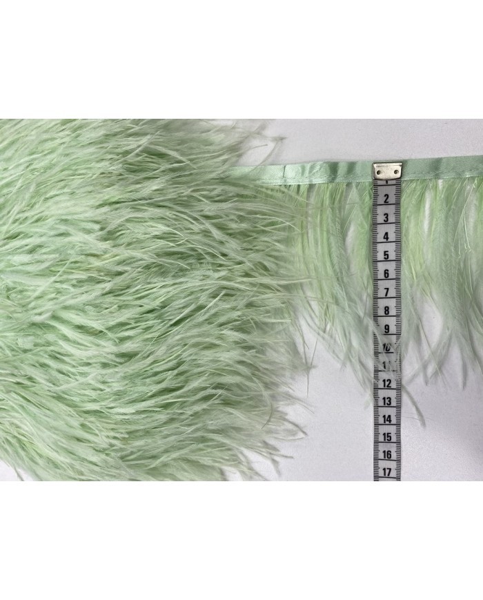 Deve Kuşu Tüyü Su Yeşili 1 Metre