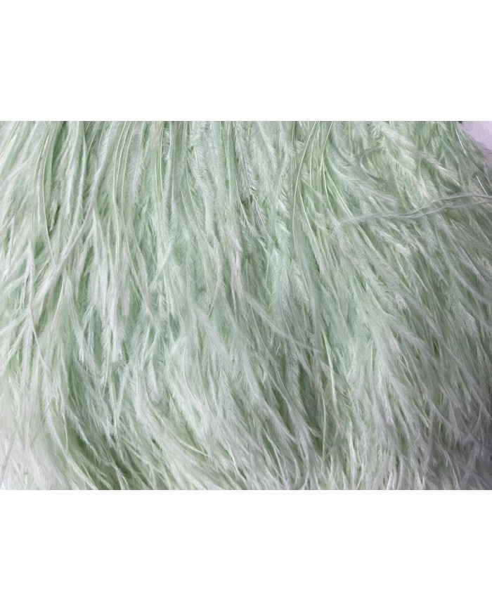 Deve Kuşu Tüyü Su Yeşili 1 Metre