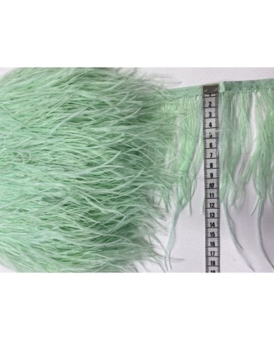 Deve Kuşu Tüyü Mint 1 Metre