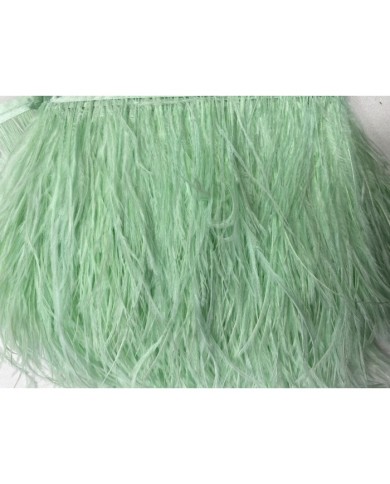 Deve Kuşu Tüyü Mint 1 Metre