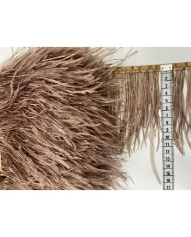 Deve Kuşu Tüyü Kahve 1 Metre